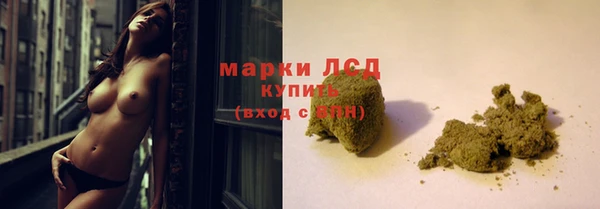 дмт Новозыбков