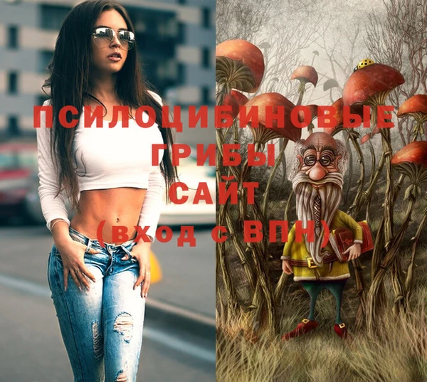каннабис Новодвинск