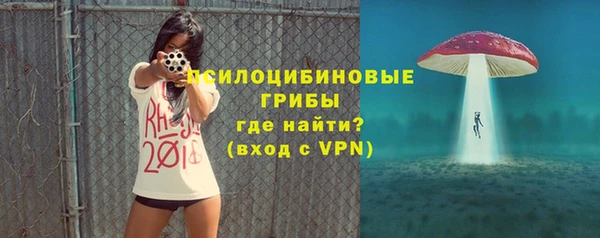 прущие крисы Новокубанск