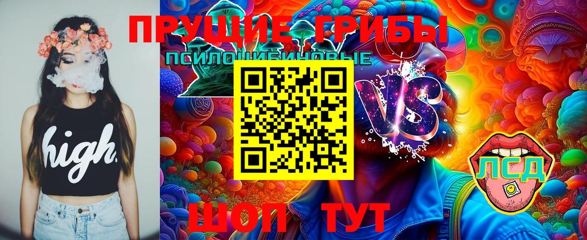 Галлюциногенные грибы мицелий  Вход с VPN  Псилоцибиновые грибы прущие грибы  закладка  Мичуринск 