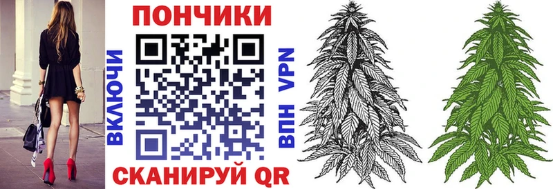 как найти   Мичуринск  Марихуана индика 