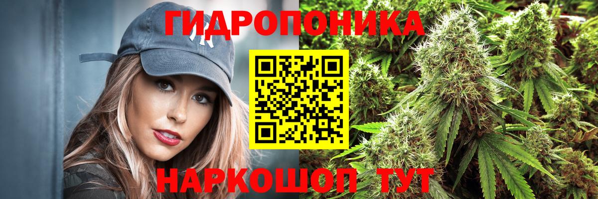 Бошки Шишки сатива  МАРИХУАНА Bruce Banner  Вход с VPN  Мичуринск  Канабис LSD WEED  Бошки марихуана тримм 
